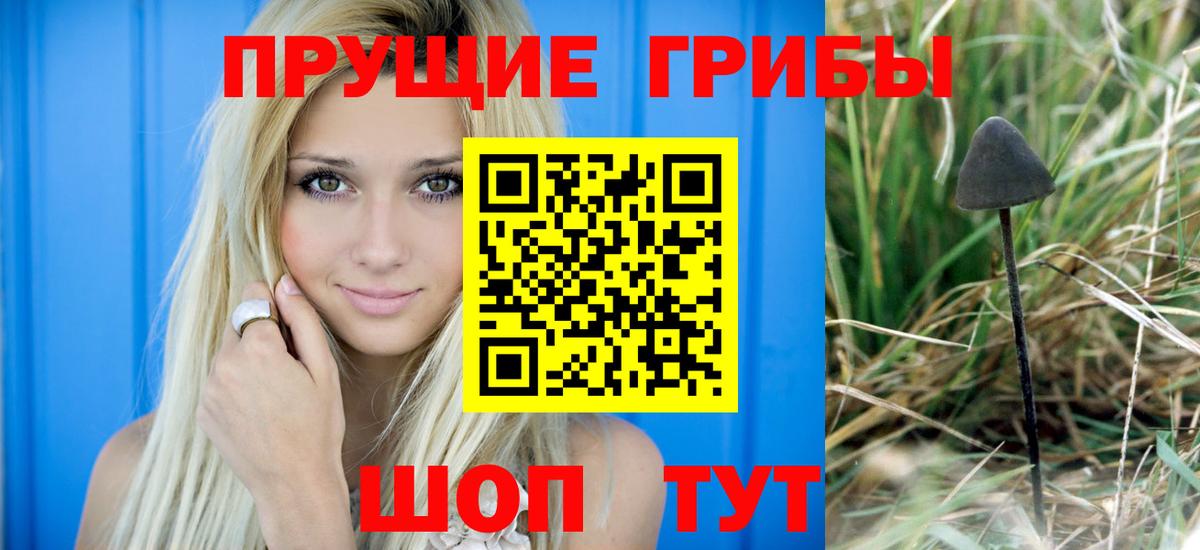 Псилоцибиновые грибы GOLDEN TEACHER Артёмовский