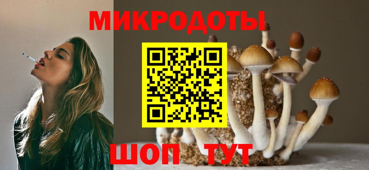 Артёмовский  Псилоцибиновые грибы Psilocybe  Вход с VPN 